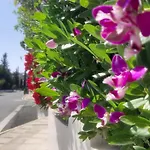 Villa Best Holiday Sea View Private Pool Near Coral Bay With Garden And Bbq Πέγεια