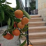 Villa Best Holiday Sea View Private Pool Near Coral Bay With Garden And Bbq * Πέγεια