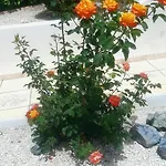 Βίλα Villa Best Holiday Sea View Private Pool Near Coral Bay With Garden And Bbq *