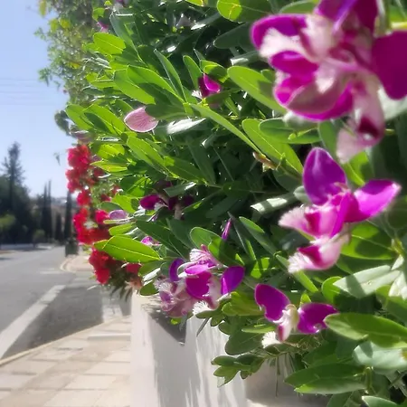 Holiday- Breathtaking Sea Views, Amazing Garden, Private Pool, Bbq, Next To Coral Bay, Lower Peyia, Paphos Πέγεια