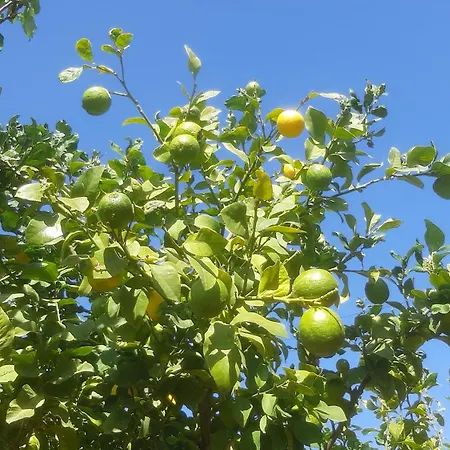 Holiday- Breathtaking Sea Views, Amazing Garden, Private Pool, Bbq, Next To Coral Bay, Lower Peyia, Paphos * Πέγεια