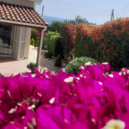 Holiday- Breathtaking Sea Views, Amazing Garden, Private Pool, Bbq, Next To Coral Bay, Lower Peyia, Paphos Pegeia