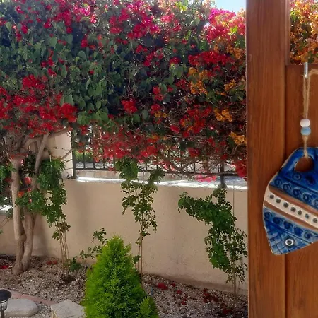 Holiday- Breathtaking Sea Views, Amazing Garden, Private Pool, Bbq, Next To Coral Bay, Lower Peyia, Paphos ヴィラ