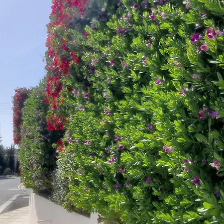 Holiday- Breathtaking Sea Views, Amazing Garden, Private Pool, Bbq, Next To Coral Bay, Lower Peyia, Paphos *