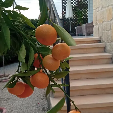 Holiday- Breathtaking Sea Views, Amazing Garden, Private Pool, Bbq, Next To Coral Bay, Lower Peyia, Paphos * ペイヤ