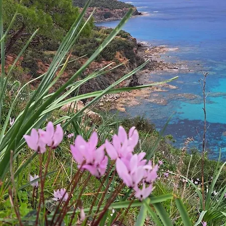 Βίλα Holiday- Breathtaking Sea Views, Amazing Garden, Private Pool, Bbq, Next To Coral Bay, Lower Peyia, Paphos *