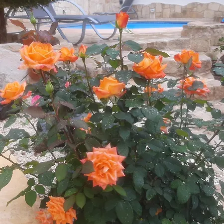 Sea View Private Pool Near Coral Bay With Garden And Bbq * Peyia