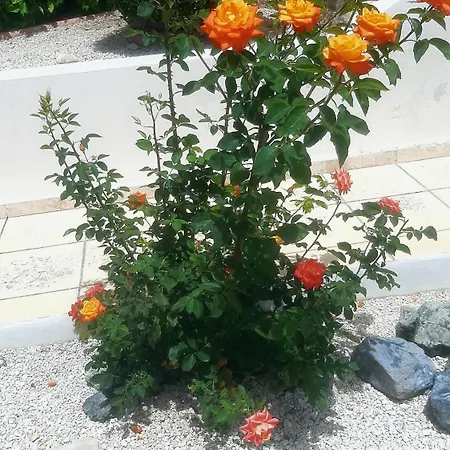 Villa Holiday- Breathtaking Sea Views, Amazing Garden, Private Pool, Bbq, Next To Coral Bay, Lower Peyia, Paphos *