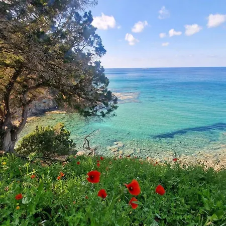 Sea View Private Pool Near Coral Bay With Garden And Bbq * Peyia
