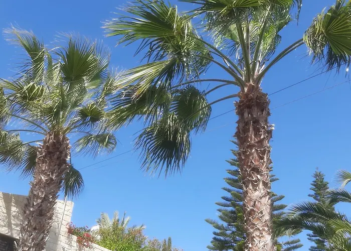 Vila Holiday- Breathtaking Sea Views, Amazing Garden, Private Pool, Bbq, Next To Coral Bay, Lower Peyia, Paphos