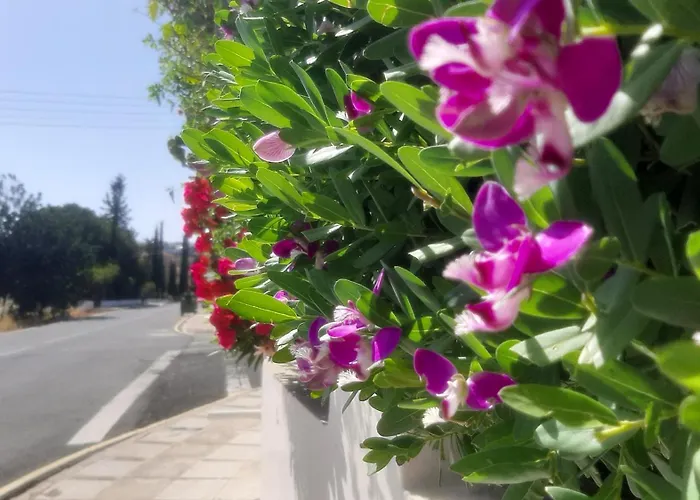 Holiday- Breathtaking Sea Views, Amazing Garden, Private Pool, Bbq, Next To Coral Bay, Lower Peyia, Paphos Pegeia