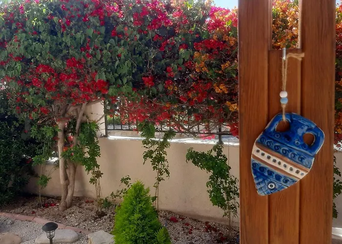 Holiday- Breathtaking Sea Views, Amazing Garden, Private Pool, Bbq, Next To Coral Bay, Lower Peyia, Paphos Vila