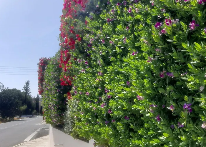 Holiday- Breathtaking Sea Views, Amazing Garden, Private Pool, Bbq, Next To Coral Bay, Lower Peyia, Paphos *