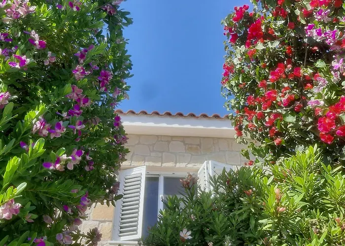 Holiday- Breathtaking Sea Views, Amazing Garden, Private Pool, Bbq, Next To Coral Bay, Lower Peyia, Paphos