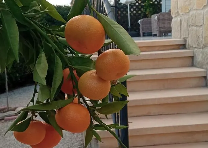 Holiday- Breathtaking Sea Views, Amazing Garden, Private Pool, Bbq, Next To Coral Bay, Lower Peyia, Paphos * Pegeia