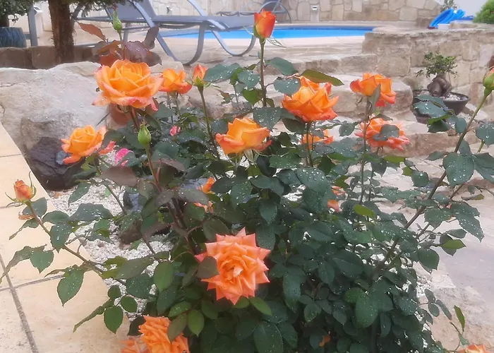 Holiday- Breathtaking Sea Views, Amazing Garden, Private Pool, Bbq, Next To Coral Bay, Lower Peyia, Paphos * Pegeia