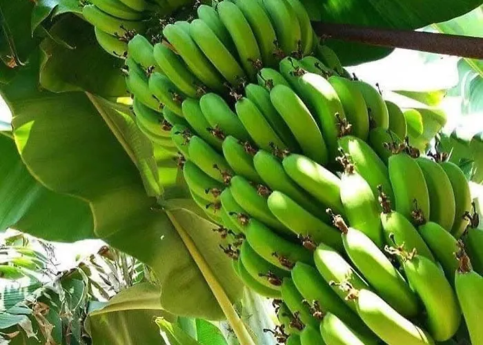 Vila Holiday- Breathtaking Sea Views, Amazing Garden, Private Pool, Bbq, Next To Coral Bay, Lower Peyia, Paphos Pegeia