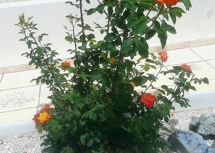 Vila Holiday- Breathtaking Sea Views, Amazing Garden, Private Pool, Bbq, Next To Coral Bay, Lower Peyia, Paphos *